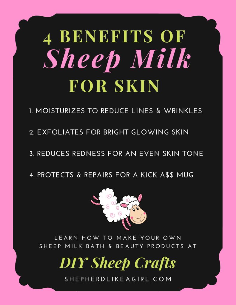 DIY Sheep Crafts | 4 Benefits of Sheep Milk for Skin | Shepherd Like A Girl