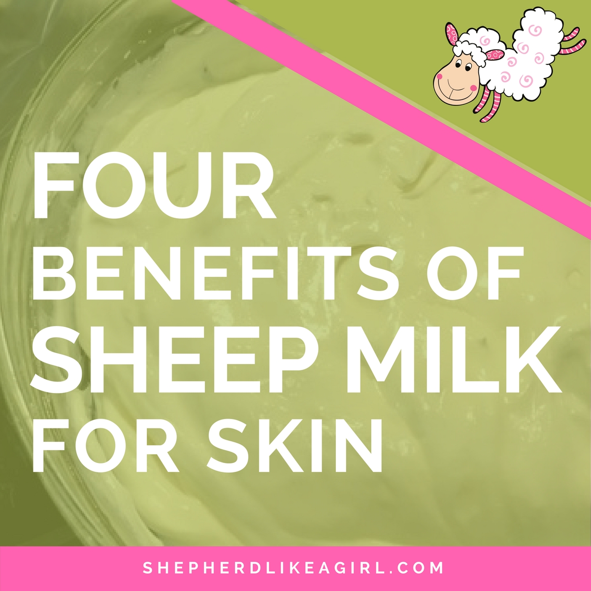 4 Benefits Of Sheep Milk For Skin Amika Ryan Shepherd Like A Girl