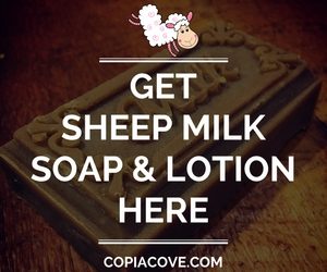 Copia Cove Icelandic Sheep | Get Sheep Milk Soap & Lotion | Shepherd Like A Girl