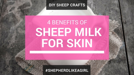 DIY Sheep Crafts | 4 Benefits of Sheep Milk for Skin | Shepherd Like A Girl