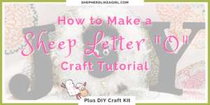 Make Your Own Sheep Letter "O" for Home Decor Tutorial | Shepherd Like A Girl