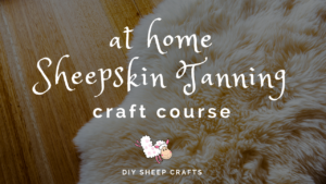 DIY Sheep Crafts | at home Sheepskin Tanning Course | Shepherd Like A Girl